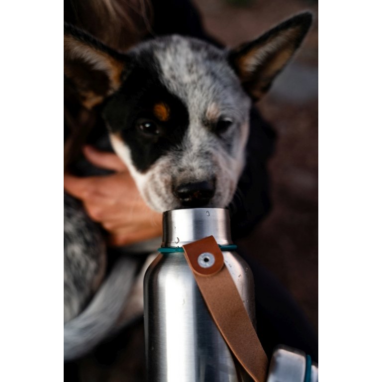 Black+Blum RVS waterfles 750 ml – Lekvrij & stijlvol